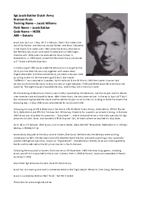 A preview of a PDF biography for Bakker, Jacob